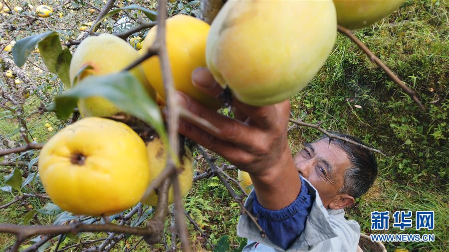 (熱點(diǎn)鮮報·圖文互動)(2)善洲精神永相傳:留下一片綠洲 造福家鄉(xiāng)百姓