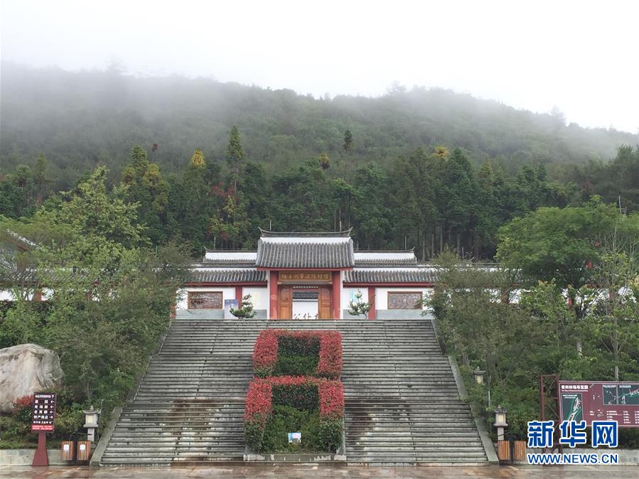 (熱點(diǎn)鮮報·圖文互動)(5)善洲精神永相傳:留下一片綠洲 造福家鄉(xiāng)百姓