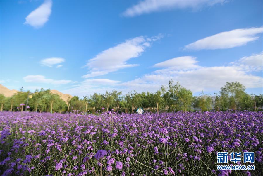 (新華全媒頭條·圖文互動)(7)大山的回響——三個民族自治縣的70年巨變