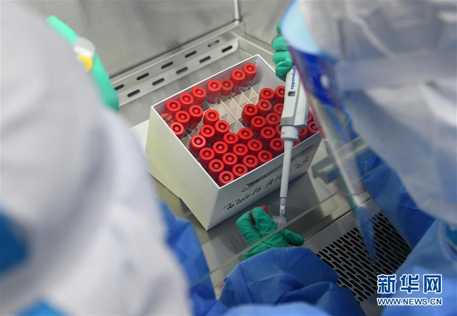 （聚焦疫情防控&middot;圖文互動）（3）青島全員核酸檢測基本完成