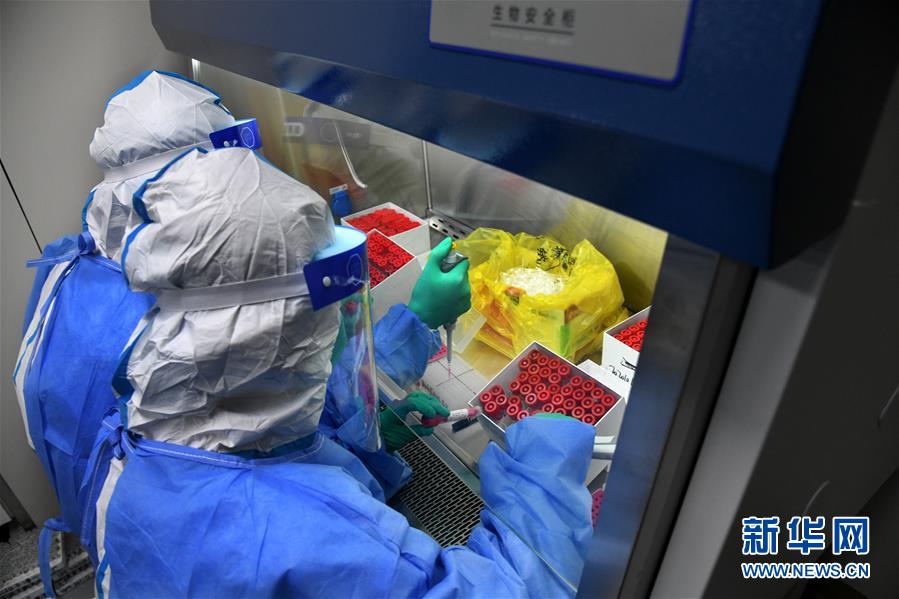 （聚焦疫情防控&middot;圖文互動）（4）青島全員核酸檢測基本完成