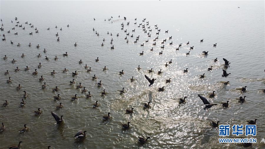 （新華全媒頭條&middot;圖文互動(dòng)）（12）長(zhǎng)淮新&ldquo;斗水&rdquo;記&mdash;&mdash;寫(xiě)在新中國(guó)治淮70年之時(shí)