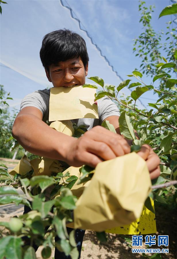 （習(xí)近平的小康故事&middot;圖文互動）（2）&ldquo;我很期盼的一件事，就是讓鄉(xiāng)親們飽餐一頓肉&rdquo;&mdash;&mdash;習(xí)近平和脫貧攻堅的故事