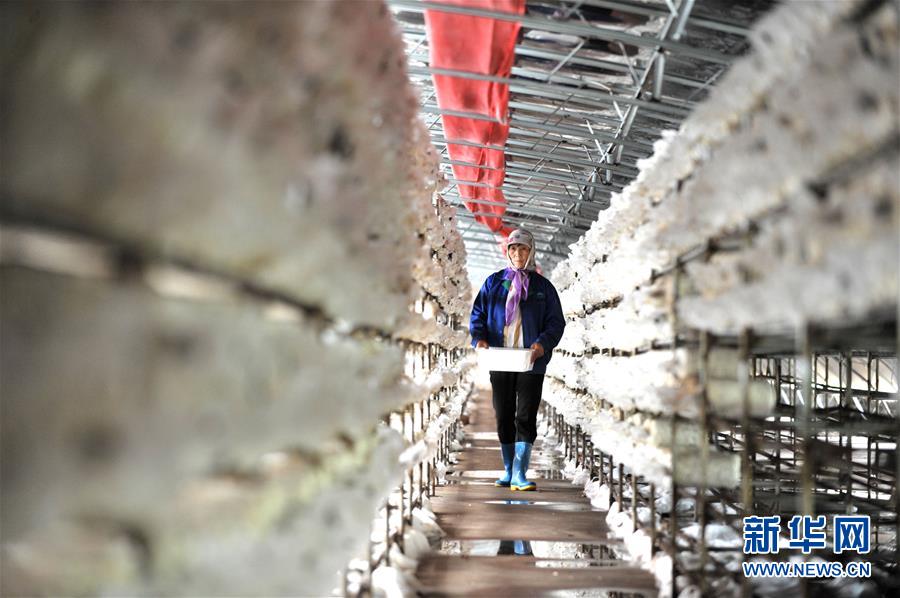 （習(xí)近平的小康故事&middot;圖文互動）（6）&ldquo;我很期盼的一件事，就是讓鄉(xiāng)親們飽餐一頓肉&rdquo;&mdash;&mdash;習(xí)近平和脫貧攻堅的故事