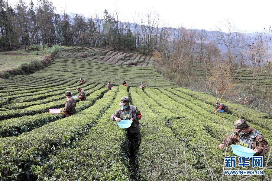 (圖文互動(dòng))(2)百舸爭(zhēng)流千帆競(jìng)——“十三五”期間國(guó)防動(dòng)員事業(yè)取得歷史性突破