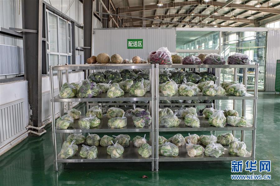 （聚焦疫情防控&middot;圖文互動(dòng)）（1）把握先機(jī) 應(yīng)對(duì)有序&mdash;&mdash;新疆疏附縣全力阻斷新冠肺炎病毒傳播