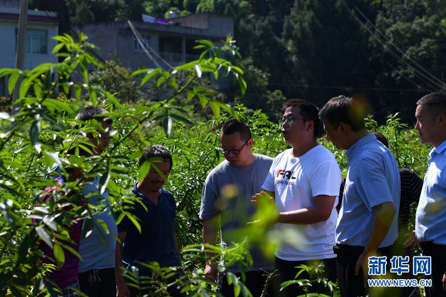 （決戰(zhàn)決勝脫貧攻堅(jiān)&middot;圖文互動(dòng)）（3）&ldquo;堵槍眼&rdquo;的脫貧戰(zhàn)怎么打？&mdash;&mdash;繼光村見(jiàn)聞