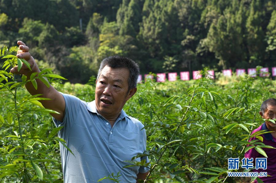 （決戰(zhàn)決勝脫貧攻堅(jiān)&middot;圖文互動(dòng)）（4）&ldquo;堵槍眼&rdquo;的脫貧戰(zhàn)怎么打？&mdash;&mdash;繼光村見(jiàn)聞