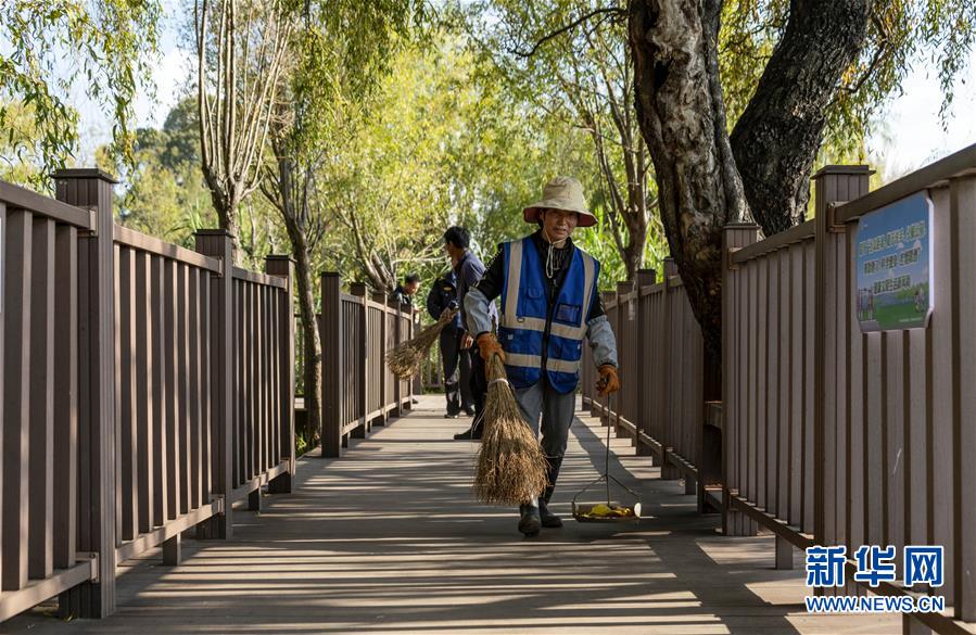 (五中全會(huì)精神在基層·圖文互動(dòng))(3)一湖清水映“綠”廊——高原明珠洱海“顏值”再提升