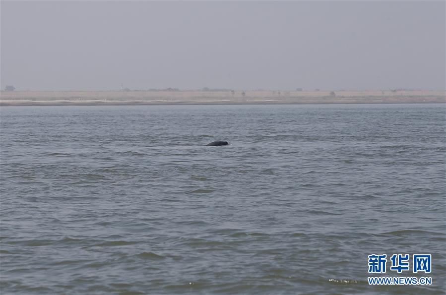 (五中全會(huì)精神在基層·圖文互動(dòng))(2)岳陽(yáng)治水添彩“巴陵勝狀”