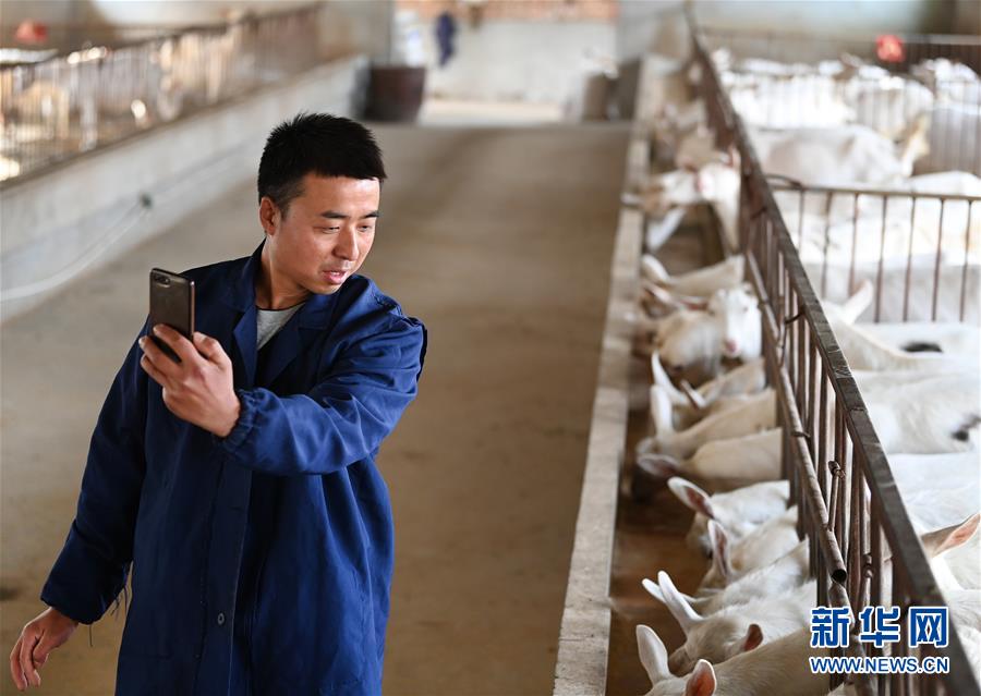 （新華全媒頭條&middot;五中全會精神在基層&middot;圖文互動）（12）奮發(fā)新青年　逐夢新征程&mdash;&mdash;各地青年學(xué)習(xí)貫徹落實五中全會精神觀察