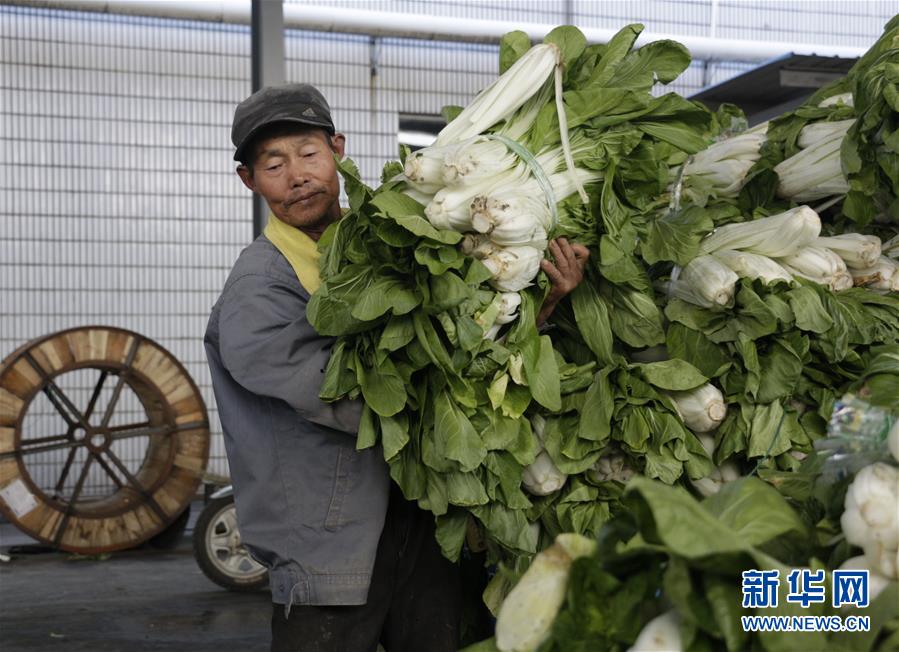 （全面建成小康社會(huì)&ldquo;百城千縣萬村調(diào)研行&rdquo;&middot;圖文互動(dòng)）（3）安徽當(dāng)涂：強(qiáng)產(chǎn)業(yè)抓主體促增收