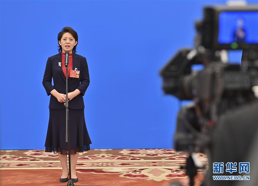 （兩會&middot;XHDW）（8）接受采訪