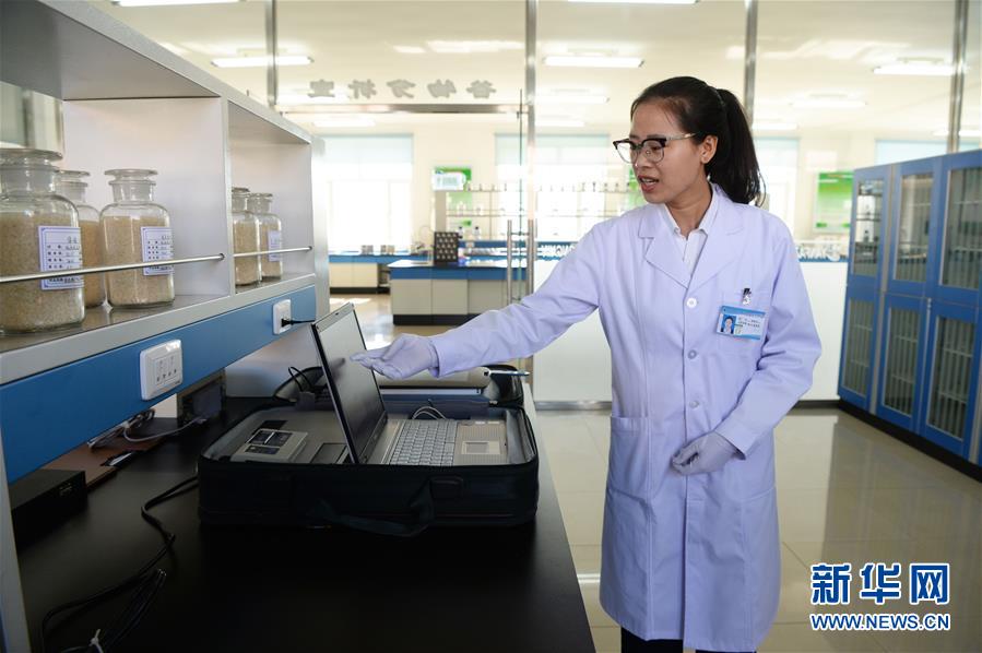 （新華全媒頭條&middot;圖文互動）（6）奮力書寫東北振興的時代新篇&mdash;&mdash;習(xí)近平總書記調(diào)研東北三省并主持召開深入推進東北振興座談會紀實