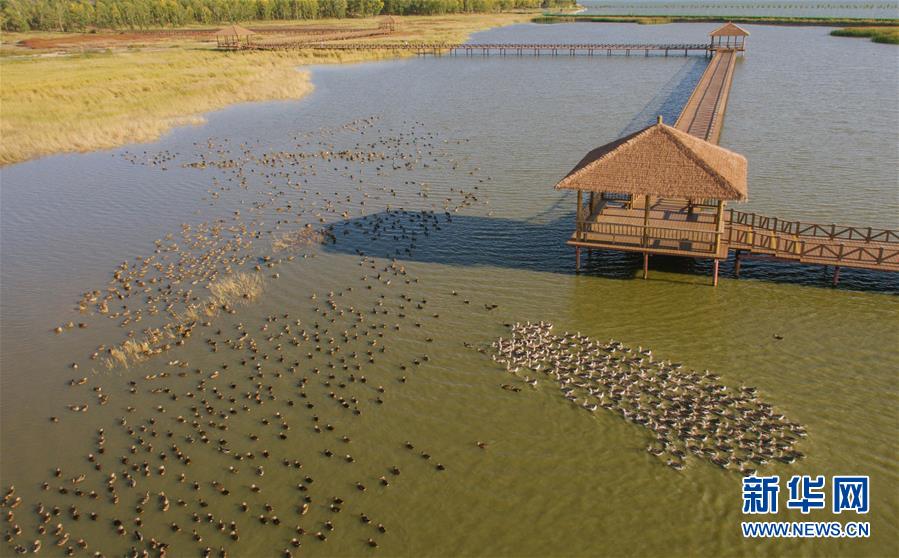 （新華全媒頭條&middot;圖文互動(dòng)）（9）奮力書(shū)寫(xiě)東北振興的時(shí)代新篇&mdash;&mdash;習(xí)近平總書(shū)記調(diào)研東北三省并主持召開(kāi)深入推進(jìn)東北振興座談會(huì)紀(jì)實(shí)