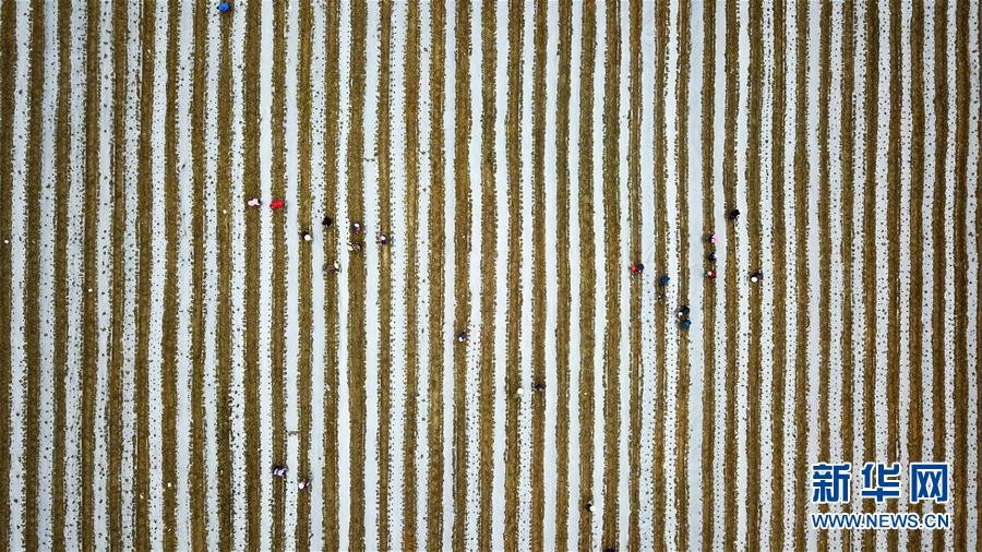 （在習(xí)近平新時(shí)代中國(guó)特色社會(huì)主義思想指引下&mdash;&mdash;新時(shí)代新作為新篇章&middot;習(xí)近平總書記關(guān)切事&middot;圖文互動(dòng)）（6）啃下最后的硬骨頭&mdash;&mdash;脫貧攻堅(jiān)掛牌督戰(zhàn)進(jìn)行時(shí)