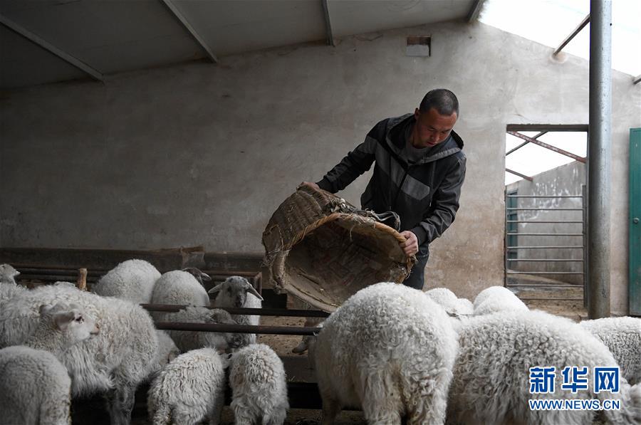 (新華全媒頭條·圖文互動)(1)春天里的5個“戰(zhàn)貧”瞬間——習近平總書記關(guān)于脫貧攻堅決策部署指引攻克最后的深貧堡壘