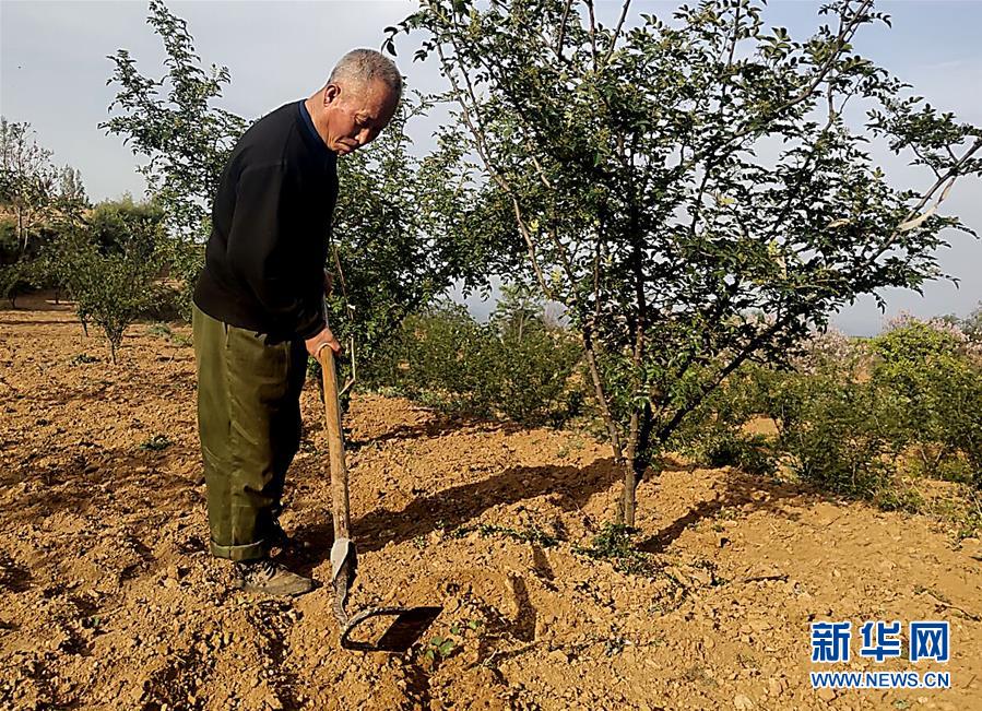 (新華全媒頭條·圖文互動)(4)春天里的5個“戰(zhàn)貧”瞬間——習近平總書記關(guān)于脫貧攻堅決策部署指引攻克最后的深貧堡壘