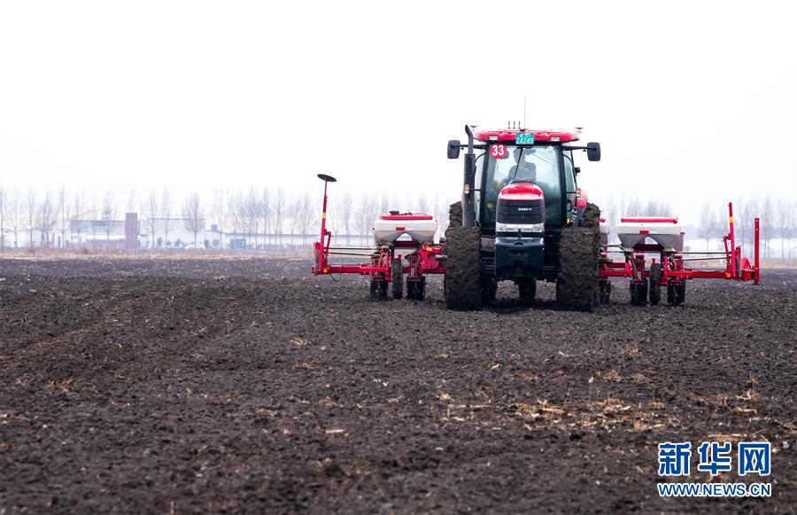 (在習(xí)近平新時(shí)代中國(guó)特色社會(huì)主義思想指引下——新時(shí)代新作為新篇章·習(xí)近平總書記關(guān)切事·圖文互動(dòng))(10)春耕忙 信心足——谷雨時(shí)節(jié)走馬東北直擊糧事