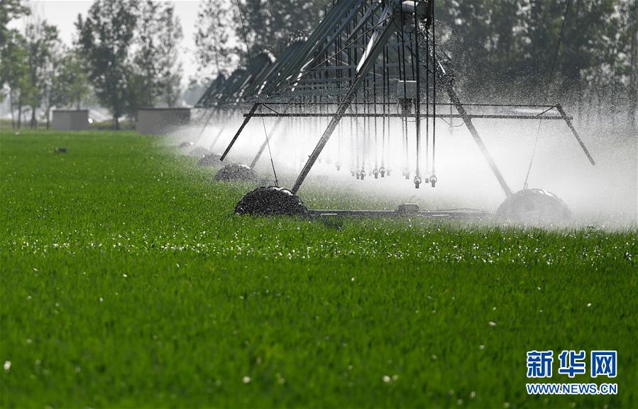 （在習(xí)近平新時代中國特色社會主義思想指引下&mdash;&mdash;新時代新作為新篇章&middot;習(xí)近平總書記關(guān)切事&middot;圖文互動）（3）新農(nóng)事、新希望&mdash;&mdash;夏收前田間新動態(tài)掃描