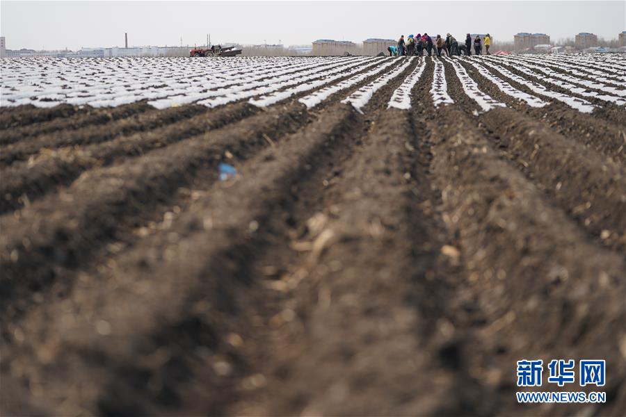 (在習(xí)近平新時代中國特色社會主義思想指引下——新時代新作為新篇章·習(xí)近平總書記關(guān)切事·圖文互動)(3)讓每一寸耕地都成為豐收的沃土——我國加強耕地保護(hù)推進(jìn)“藏糧于地”