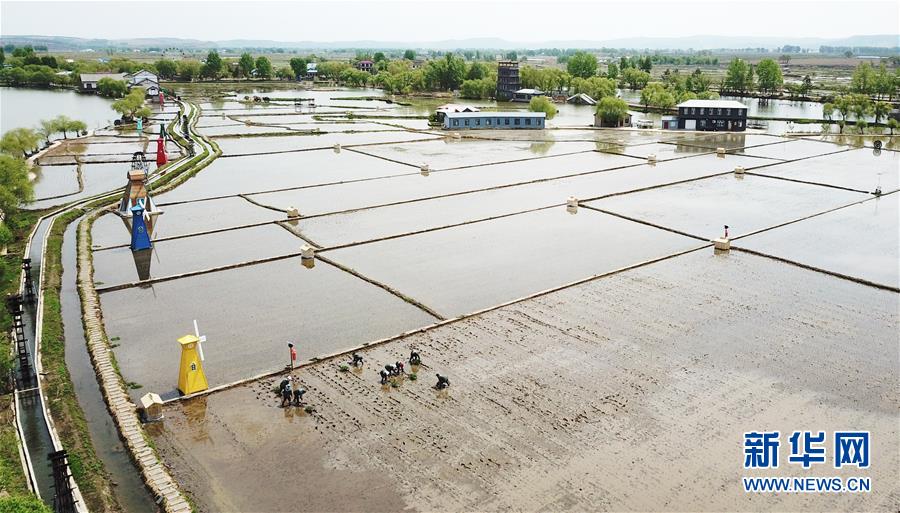 (在習(xí)近平新時代中國特色社會主義思想指引下——新時代新作為新篇章·習(xí)近平總書記關(guān)切事·圖文互動)(1)讓每一寸耕地都成為豐收的沃土——我國加強耕地保護(hù)推進(jìn)“藏糧于地”