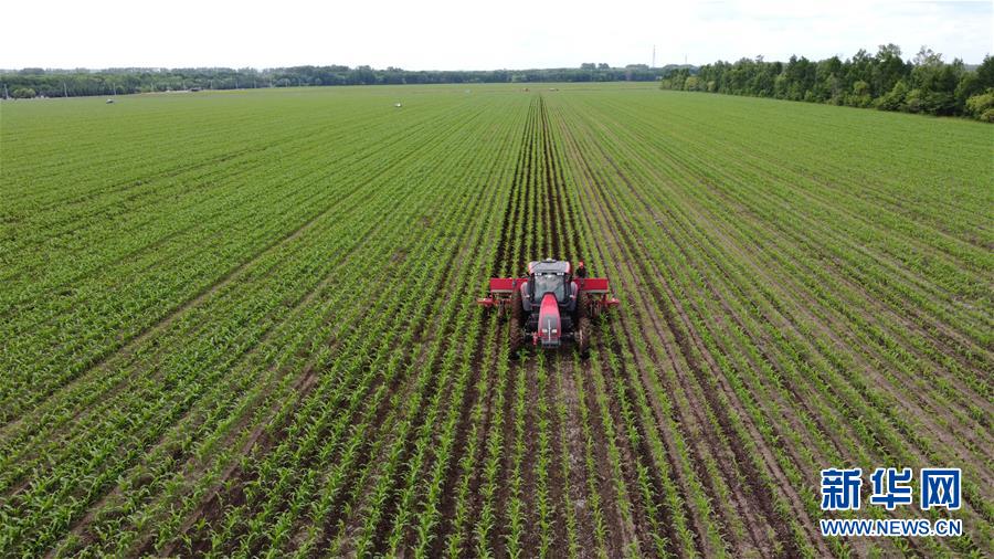 (在習(xí)近平新時代中國特色社會主義思想指引下——新時代新作為新篇章·習(xí)近平總書記關(guān)切事·圖文互動)(5)讓每一寸耕地都成為豐收的沃土——我國加強耕地保護(hù)推進(jìn)“藏糧于地”