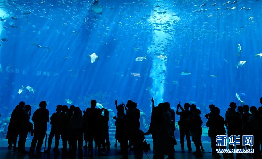 （在習(xí)近平新時代中國特色社會主義思想指引下&mdash;&mdash;新時代新作為新篇章&middot;習(xí)近平總書記關(guān)切事&middot;圖文互動）（9）感受開放新魅力&mdash;&mdash;海南自由貿(mào)易港建設(shè)開局觀察