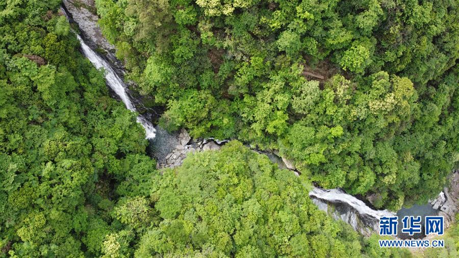 (在習(xí)近平新時(shí)代中國特色社會主義思想指引下——新時(shí)代新作為新篇章·習(xí)近平總書記關(guān)切事·圖文互動(dòng))(6)長三角的新答卷——“十三五”收官之年的長三角一體化新故事