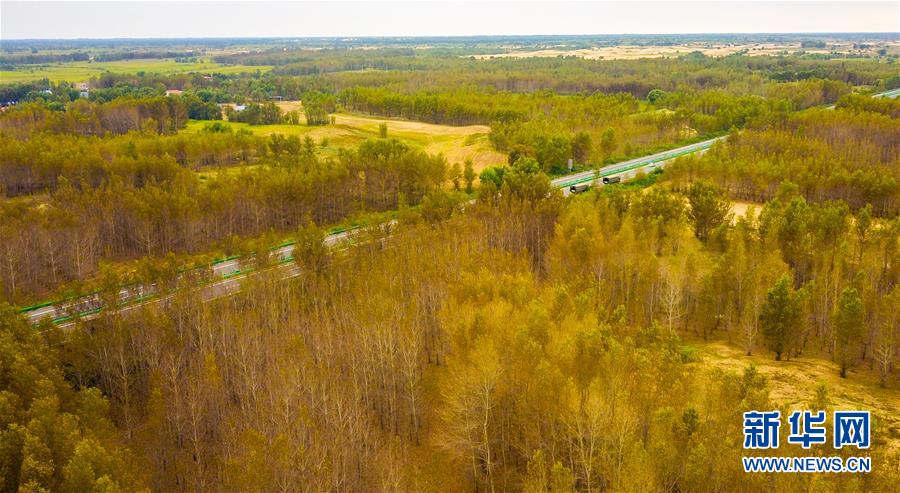 （在習(xí)近平新時代中國特色社會主義思想指引下&mdash;&mdash;新時代新作為新篇章&middot;習(xí)近平總書記關(guān)切事&middot;圖文互動）（3）綠意，在黃沙中鋪展&mdash;&mdash;我國防沙治沙紀(jì)實(shí)