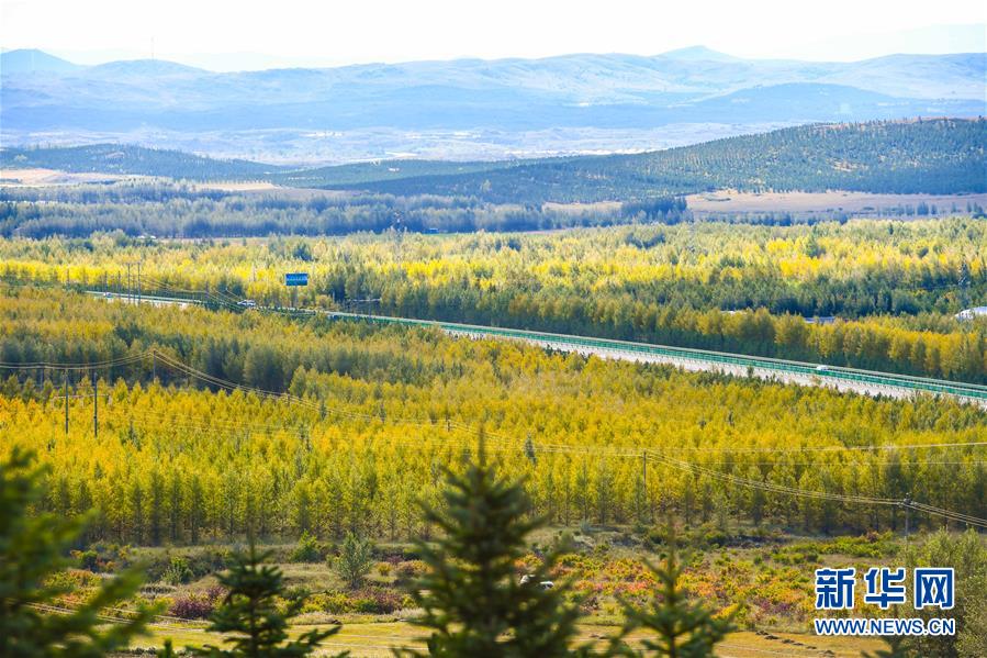 （在習(xí)近平新時代中國特色社會主義思想指引下&mdash;&mdash;新時代新作為新篇章&middot;習(xí)近平總書記關(guān)切事&middot;圖文互動）（7）綠意，在黃沙中鋪展&mdash;&mdash;我國防沙治沙紀(jì)實(shí)