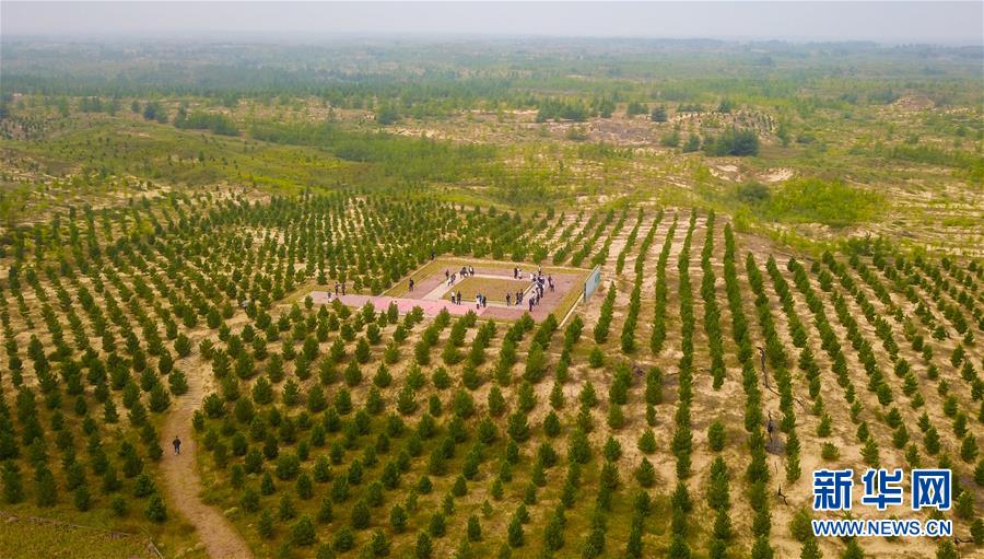 （在習(xí)近平新時代中國特色社會主義思想指引下&mdash;&mdash;新時代新作為新篇章&middot;習(xí)近平總書記關(guān)切事&middot;圖文互動）（2）綠意，在黃沙中鋪展&mdash;&mdash;我國防沙治沙紀(jì)實(shí)