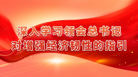 深入學習領(lǐng)會總書記對增強經(jīng)濟韌性的指引