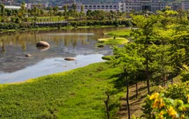 農(nóng)村水能資源開發(fā)現(xiàn)狀