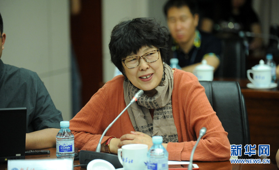 陳小波：新華人對歷史的擔(dān)當(dāng)、情感與良知