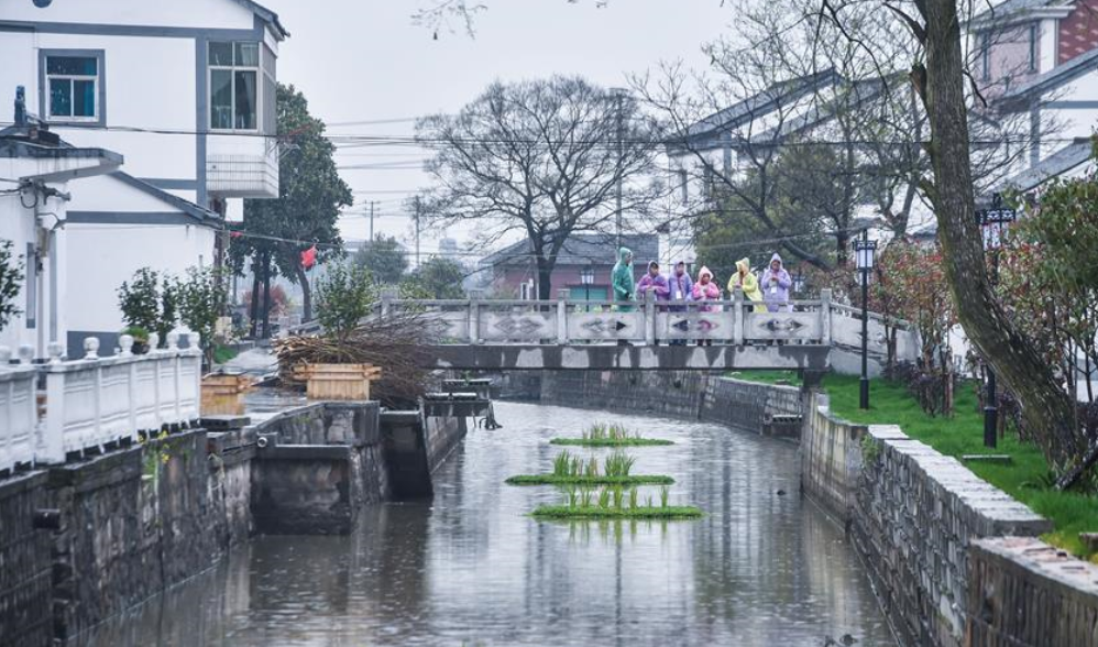 &ldquo;小小河長(zhǎng)&rdquo;護(hù)綠治水保環(huán)境