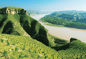 張建龍：&ldquo;三北工程&rdquo;實現(xiàn)生態(tài)、經(jīng)濟、社會效益&ldquo;多贏&rdquo;