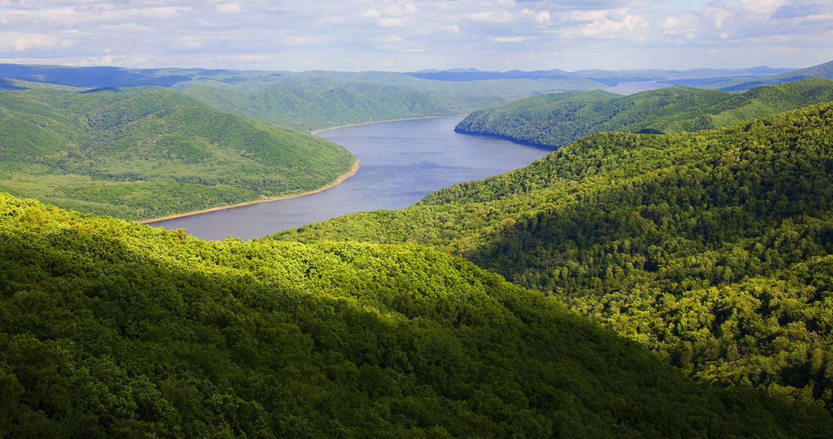 張建龍：&ldquo;三北工程&rdquo;實現(xiàn)生態(tài)、經(jīng)濟、社會效益&ldquo;多贏&rdquo;