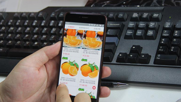 臍橙&ldquo;三變&rdquo;見(jiàn)證40年變遷