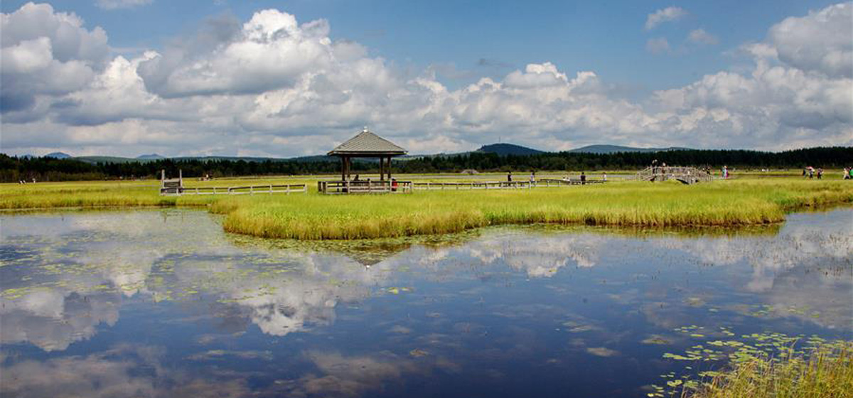那一抹綠色，走進(jìn)越來越多人心里&mdash;&mdash;河北塞罕壩續(xù)寫新時代綠色傳奇