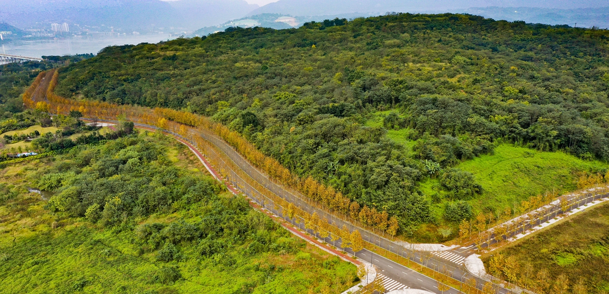 一江碧水串起綠色島鏈&mdash;&mdash;重慶江心島&ldquo;生態(tài)留白&rdquo;調查
