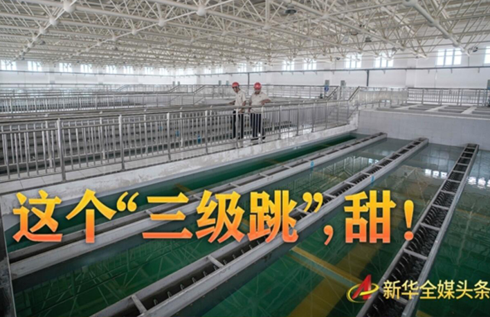 這個(gè)&ldquo;三級跳&rdquo;，甜！