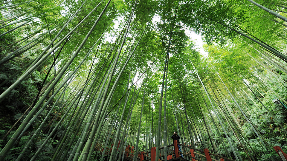 合作共治、責(zé)任共擔(dān)、效益共享&mdash;&mdash;赤水河流域跨省生態(tài)補償取得積極成效