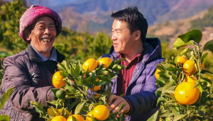 扶貧相冊(cè)&mdash;&mdash;老窩來了位&ldquo;柑橘博士&rdquo;