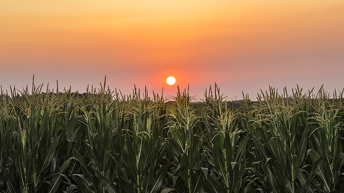 風(fēng)卷紅旗過大關(guān)&mdash;&mdash;以習(xí)近平同志為核心的黨中央領(lǐng)航中國為實(shí)現(xiàn)第一個(gè)百年奮斗目標(biāo)而奮勇拼搏紀(jì)實(shí)