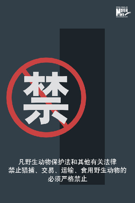 向非法野生動(dòng)物交易、濫食野生動(dòng)物陋習(xí)亮劍