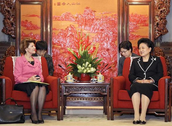 劉延?xùn)|會(huì)見(jiàn)歐盟委員會(huì)教育、文化、語(yǔ)言多樣性及青年事務(wù)委員瓦西利烏