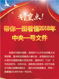 劃重點！帶你一圖看懂2018年中央一號文件