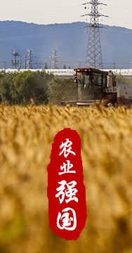 農(nóng)業(yè)強(qiáng)國是社會主義現(xiàn)代化強(qiáng)國的根基。