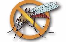 夏季，常見蚊蟲如何應(yīng)對